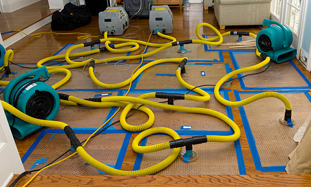 Professional Burst Pipe Water Damage technician working in Josephine, WV